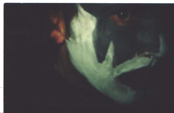 slugman 001.jpg