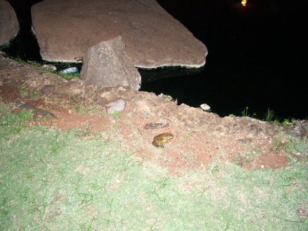 Hawaii 216.jpg