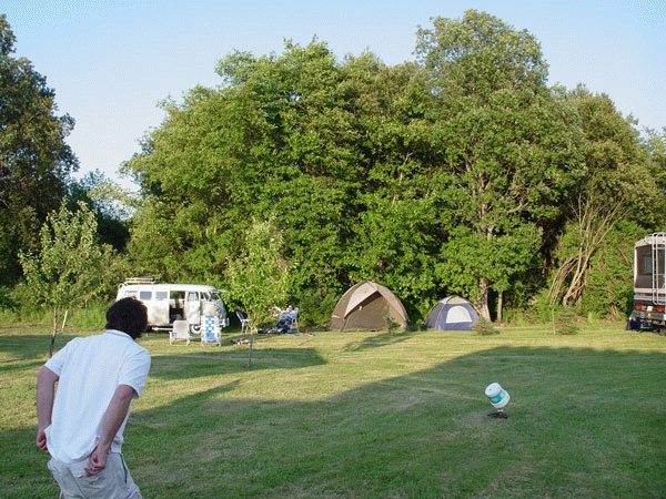 DSC00448.jpg